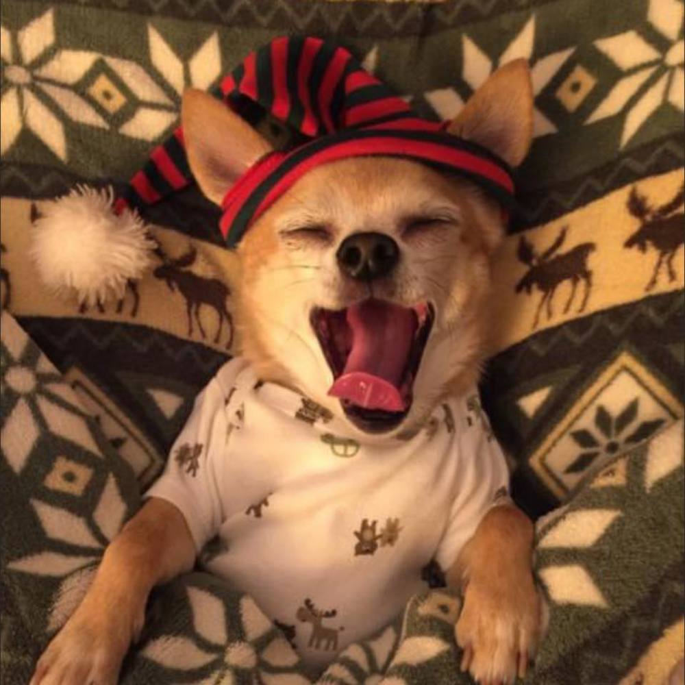 Meet your Posher, Michele